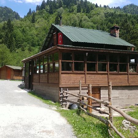 Kardelen Bungalov Evleri̇ Ayder Yaylasi Kültér fotó