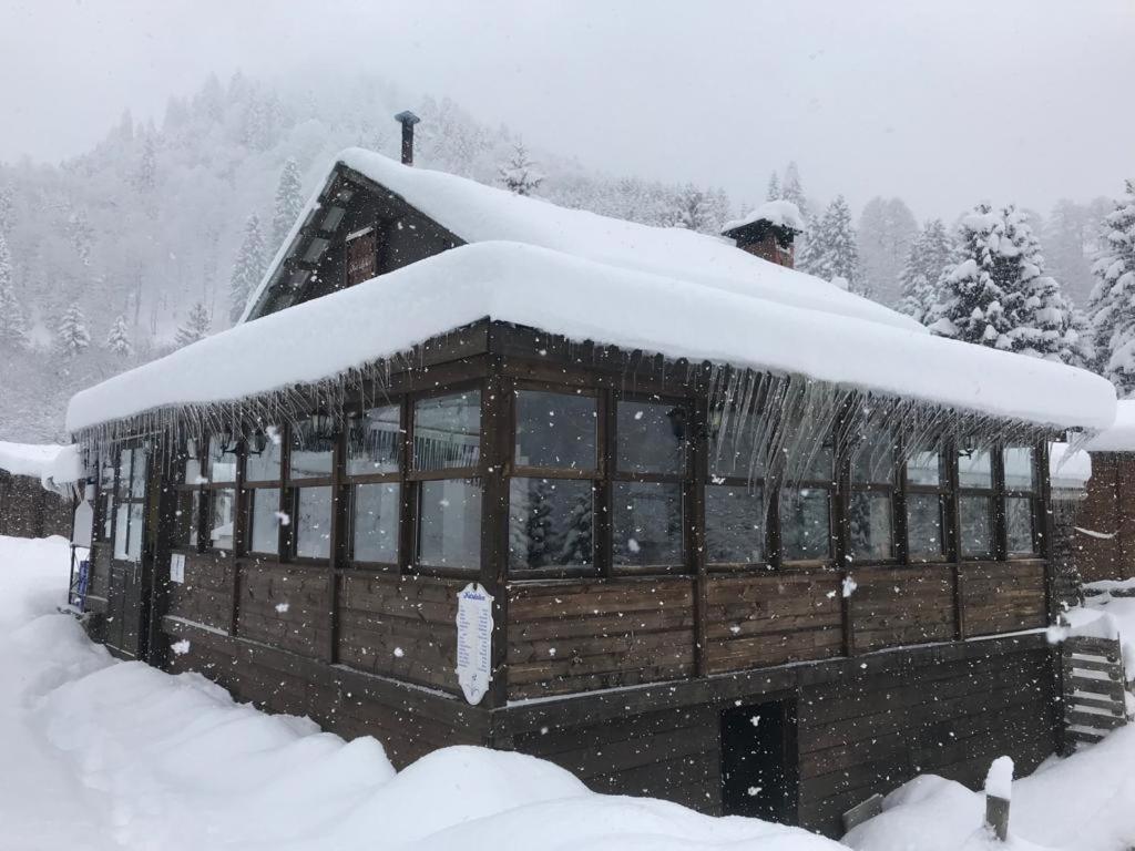 Kardelen Bungalov Evleri̇ Villa Ayder Yaylasi Kültér fotó