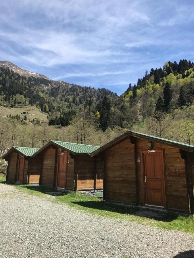 Kardelen Bungalov Evleri̇ Ayder Yaylasi Kültér fotó
