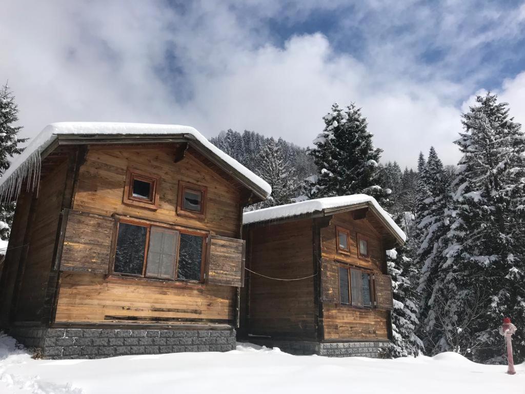 Kardelen Bungalov Evleri̇ Villa Ayder Yaylasi Kültér fotó