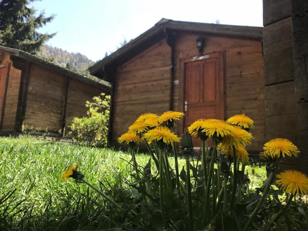 Kardelen Bungalov Evleri̇ Ayder Yaylasi Kültér fotó