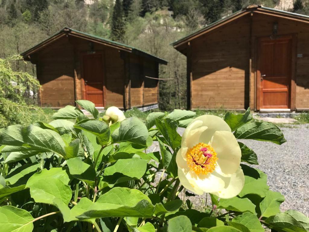 Kardelen Bungalov Evleri̇ Ayder Yaylasi Kültér fotó