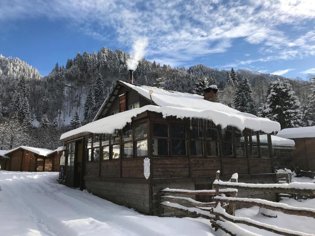 Kardelen Bungalov Evleri̇ Ayder Yaylasi Kültér fotó