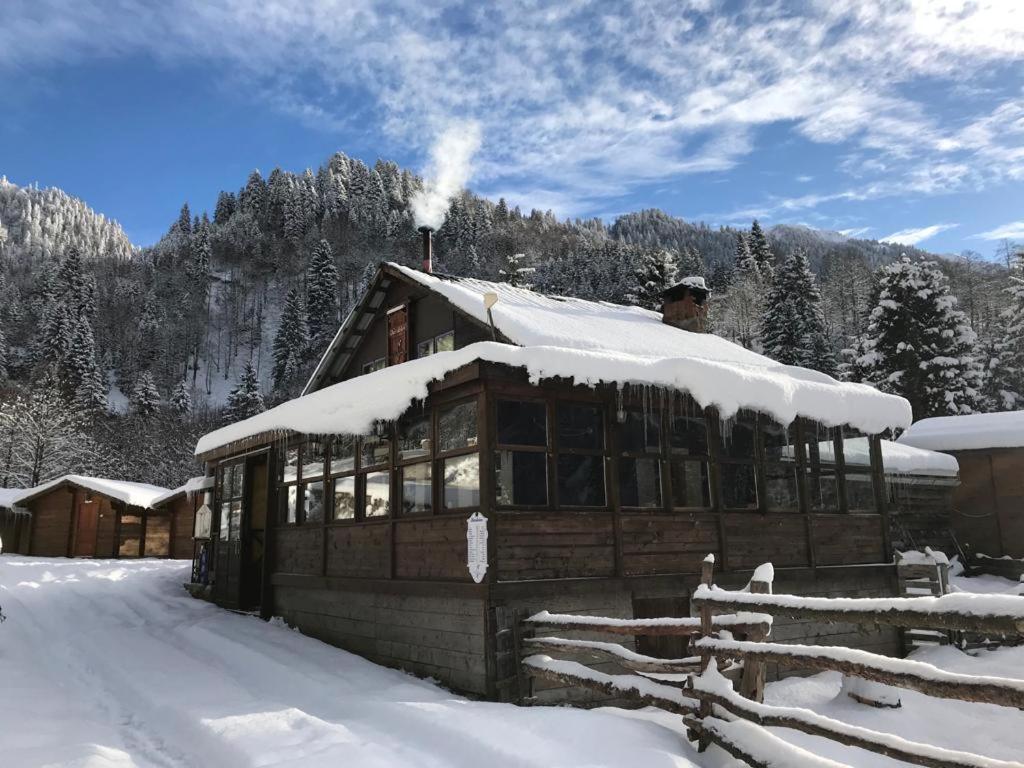 Kardelen Bungalov Evleri̇ Villa Ayder Yaylasi Kültér fotó